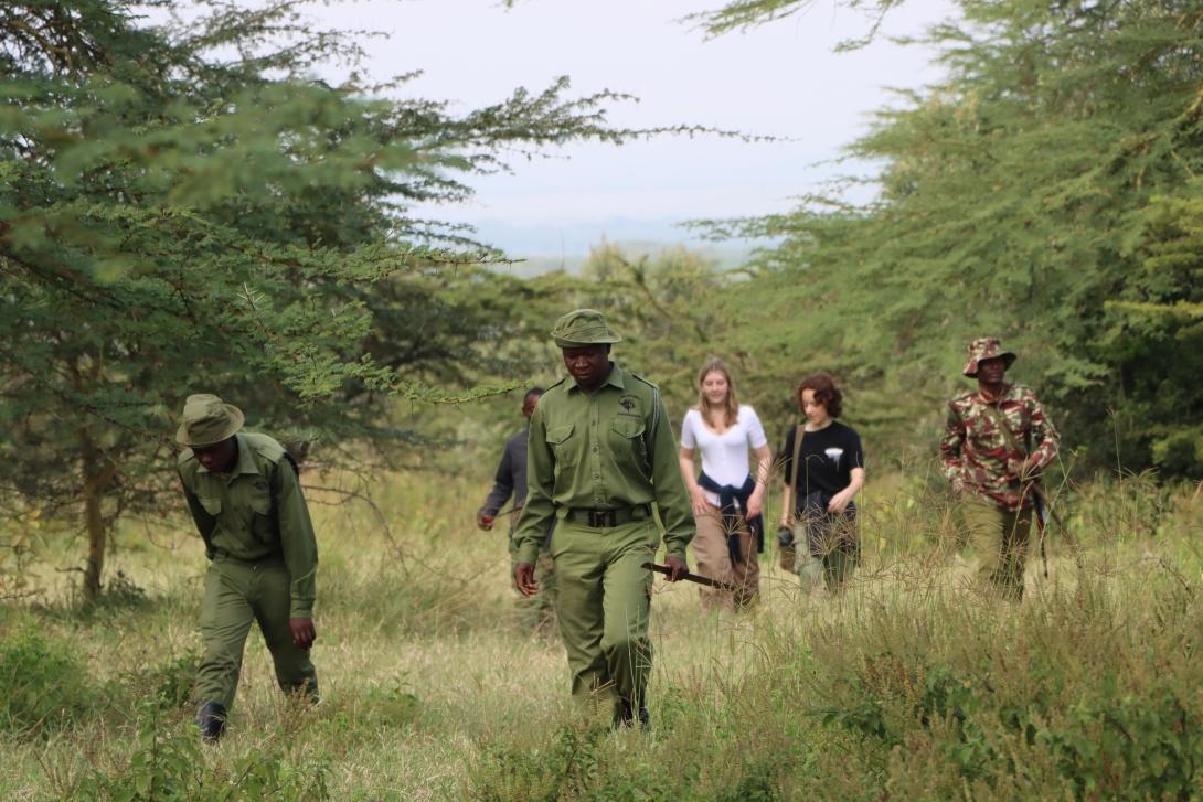 Chantier jeunes écovolontariat au Kenya - volontaires marchent dans la savane 